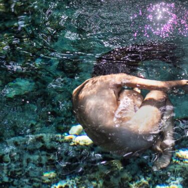 Additional image-Mazlish Gallery Inaugural Group Exhibition October 14 – 19, 2020-7