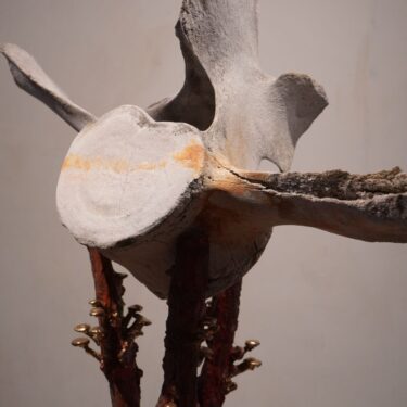 Artifacts of an Alternate Dream, Matthew H. James