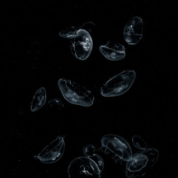 Joelle Soraya Batista Iseli