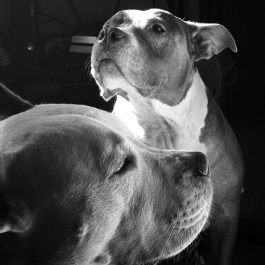 Ruben Rondon Jr | Hold Still, Hold Strong: BCAM HS Students