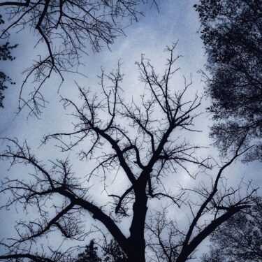 Ruben Rondon Jr | Hold Still, Hold Strong: BCAM HS Students