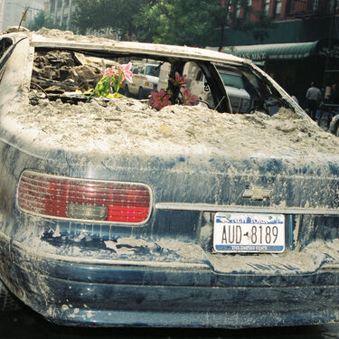 Velvet S. McNeil - Flowers