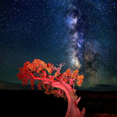 CREATION CONTINUA - Park Joon Photo Portraits Korean Artist Diaspora