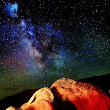 CREATION CONTINUA - Park Joon Photo Portraits Korean Artist Diaspora